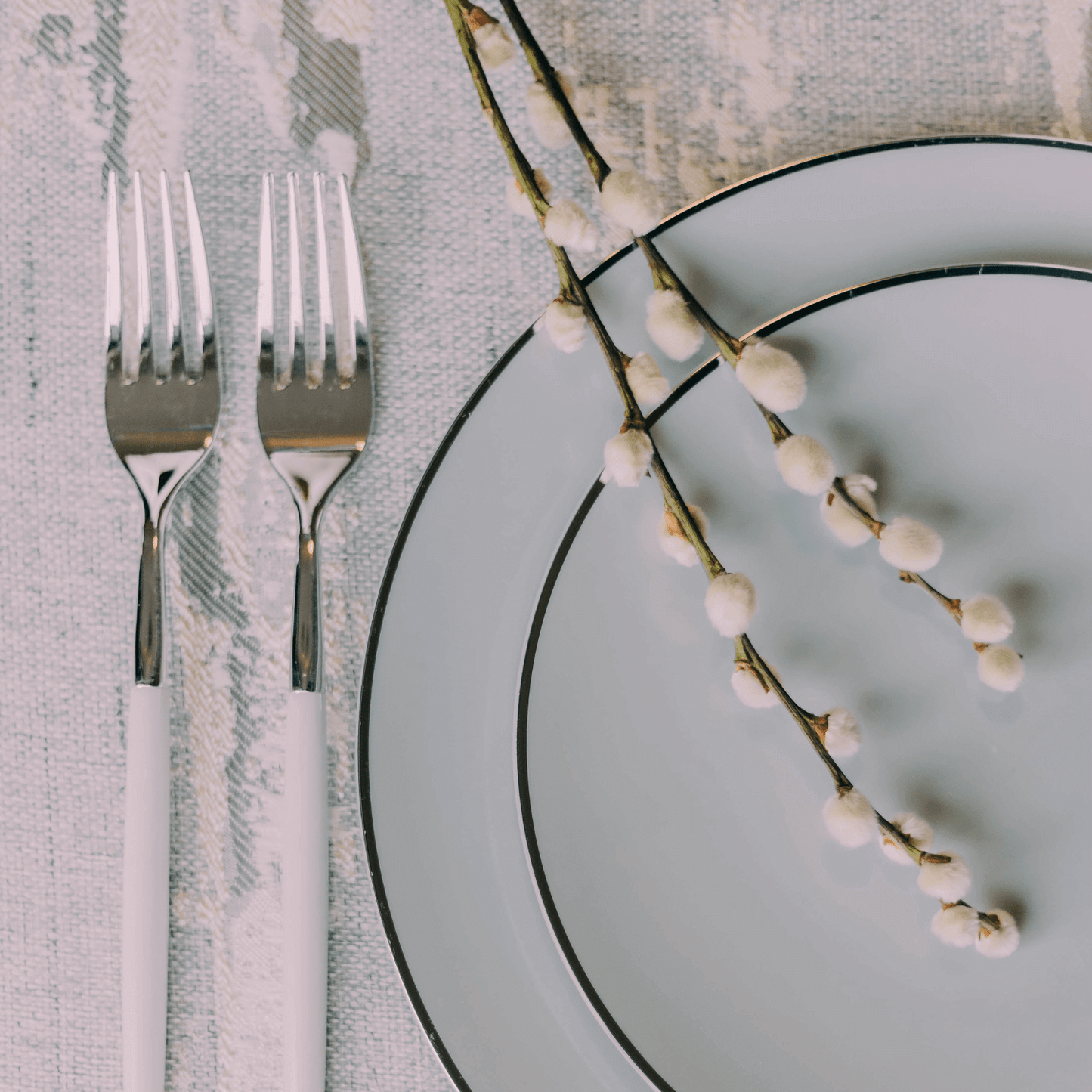 8" Classic Sage Design Plates (10)