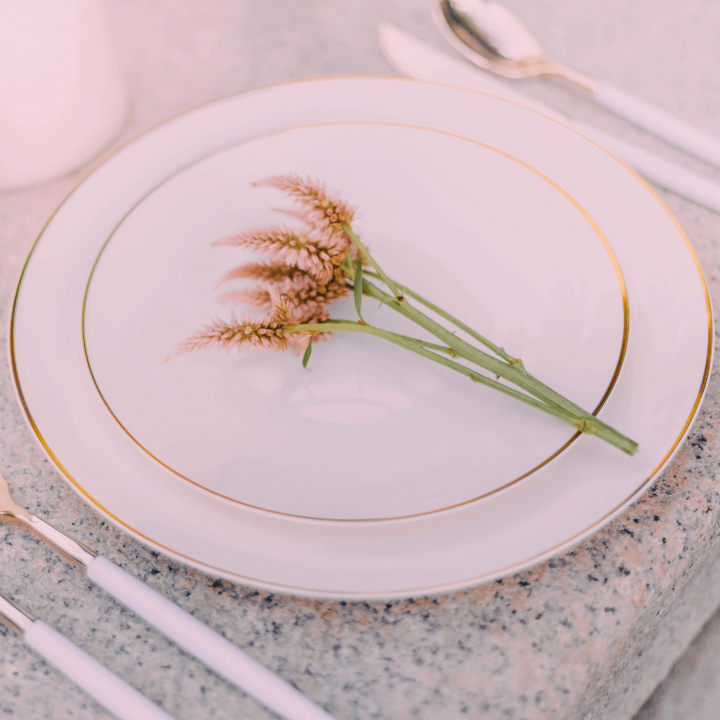 8" Classic Ivory Design Plates (10)