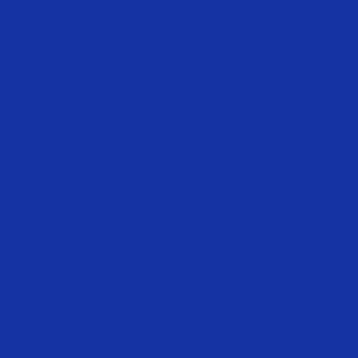 10 In. Dark Blue Paper Plates - 100 Ct.