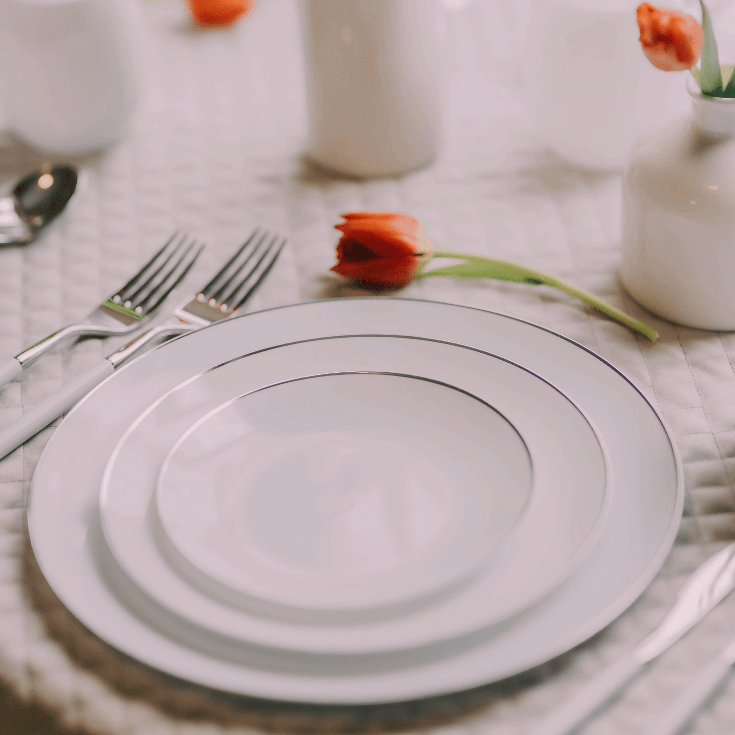 8" Classic Silver Design Plates (10)