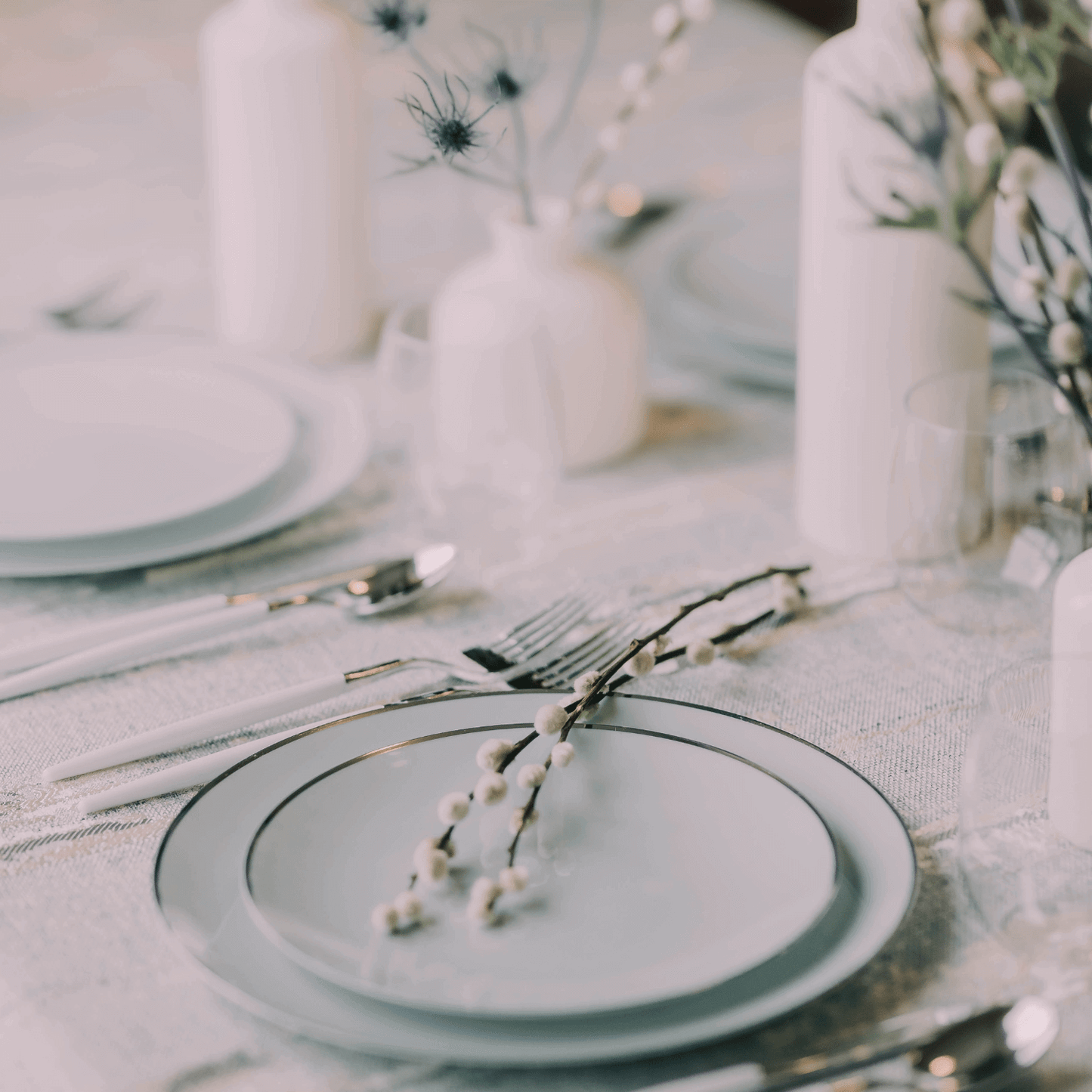 8" Classic Sage Design Plates (10)