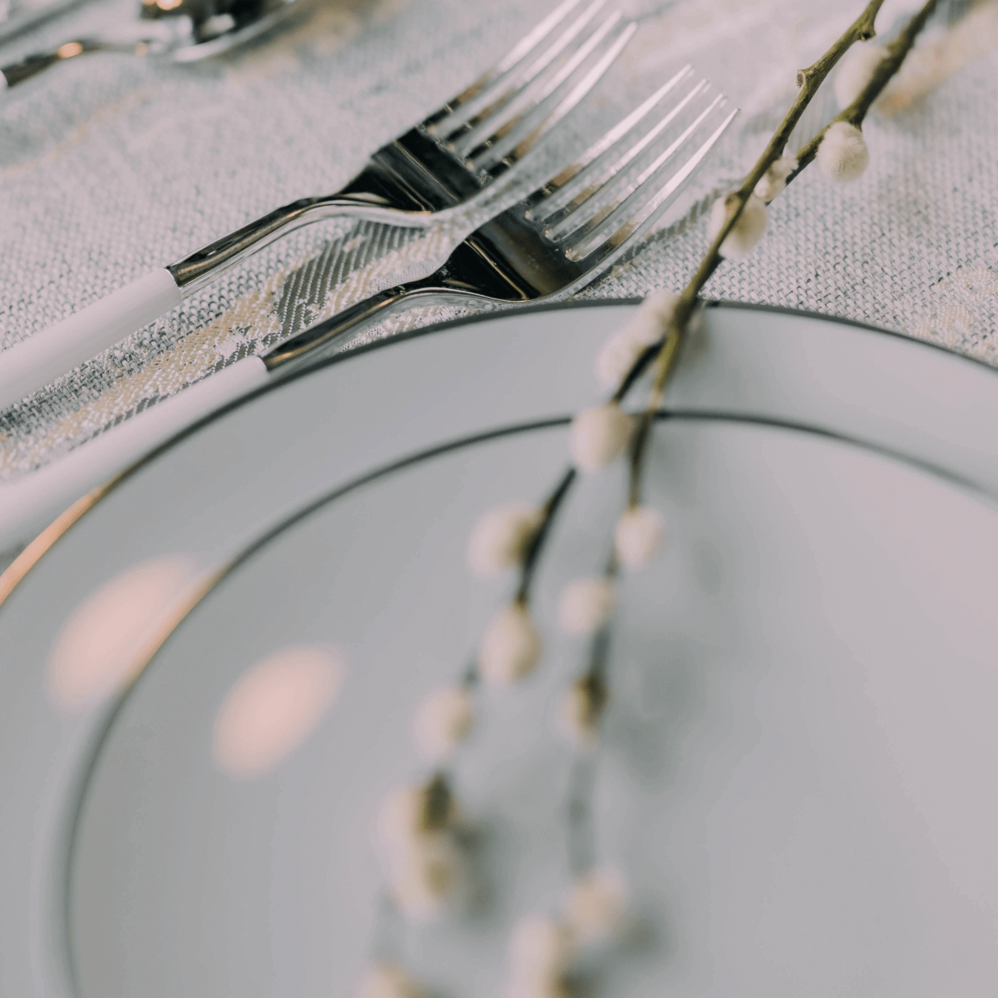 8" Classic Sage Design Plates (10)