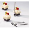 Exquisite Silver Plastic Tasting Spoons 100 Count